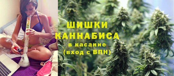 Альфа ПВП Белокуриха