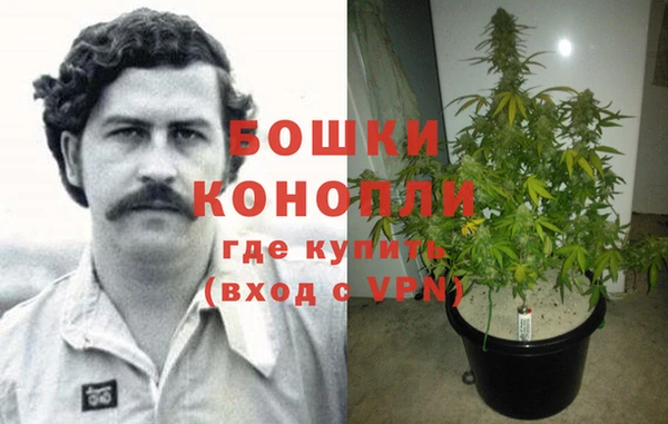 Альфа ПВП Белокуриха