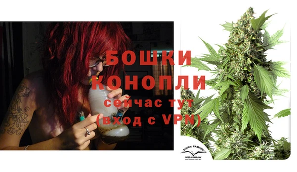 Альфа ПВП Белокуриха