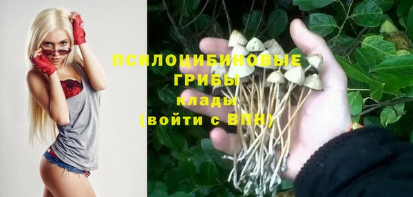 Альфа ПВП Белокуриха